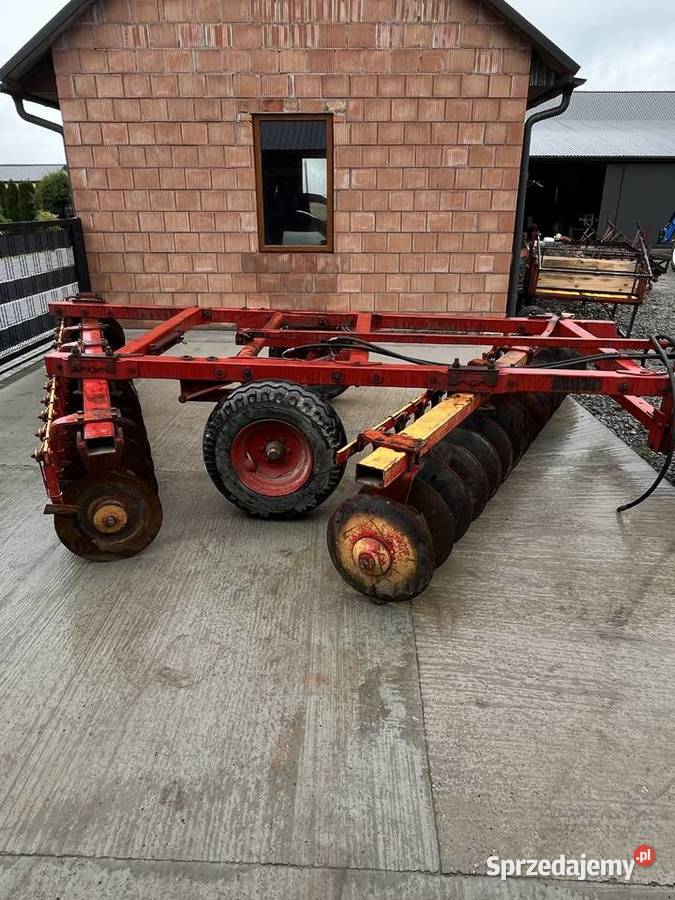 Talerzówka lila harrie 16x2 Bukowina