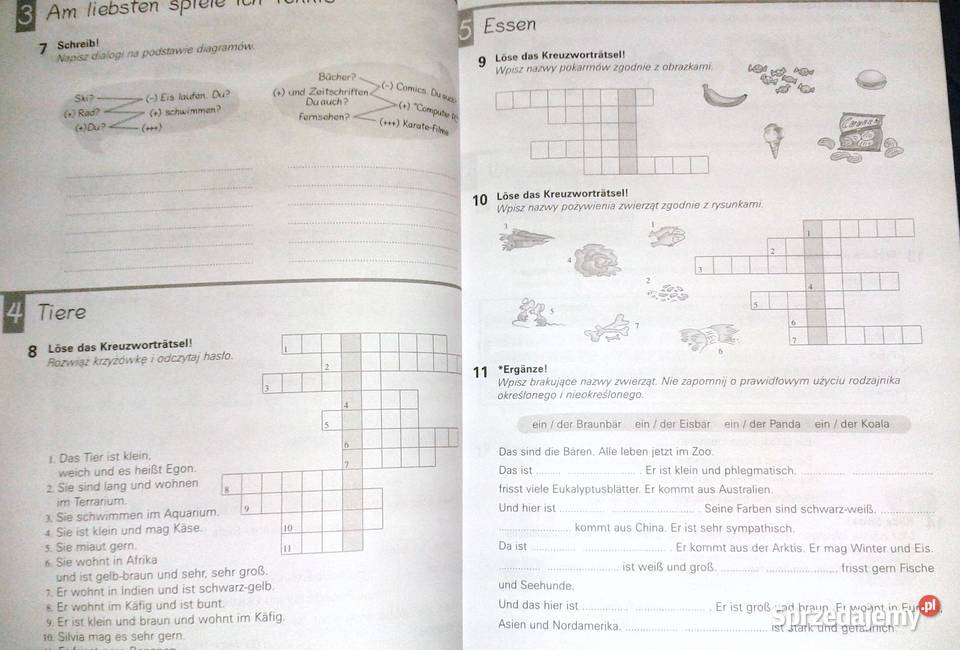 Dachfenster Książka ćwiczeń kl 1 E Reymont Chełm