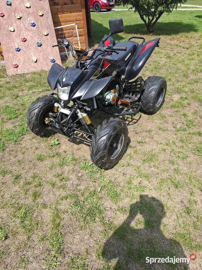 Bashan 200 Wierzbin sprzedam