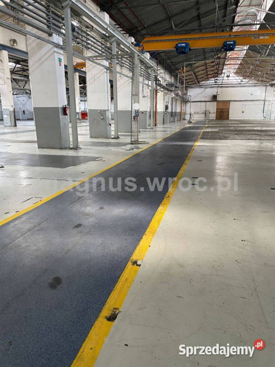 Powierzchnie magazynowe produkcyjne logistyczne