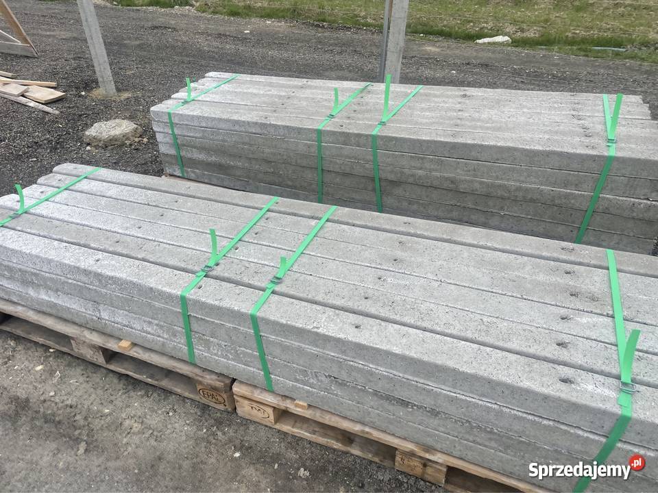 słupki betonowe do siatki leśnej 220 Słupki