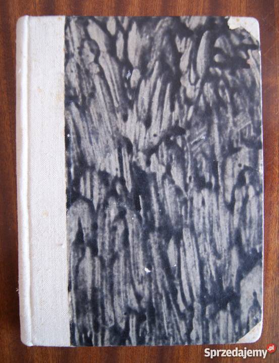 Jerzy Kreczmar Juliusz Saloni Drogi i rozdroża lubelskie Parczew