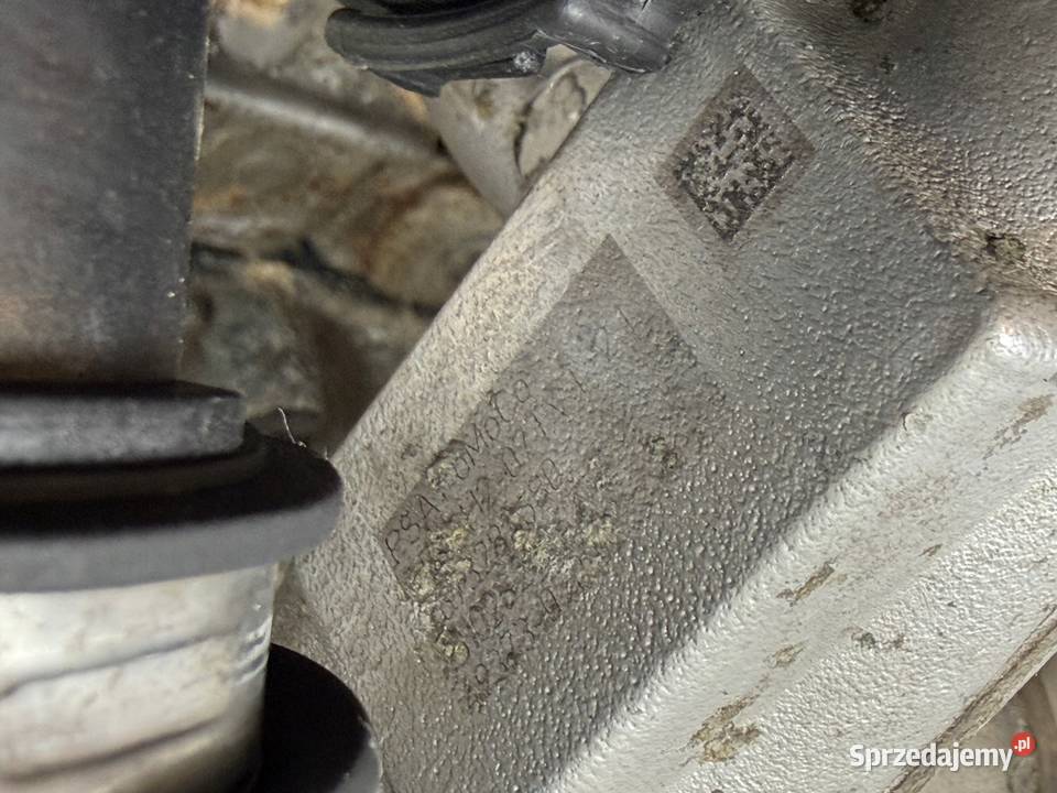 SILNIK UGJC Ford Fiesta VII MK7 B B 15 TDCI 75 lubelskie Chełm