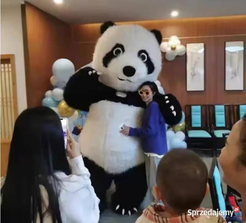 KOSTIUM XXL MISIA PANDY 26 METRA GIGANT DMUCHANY Katowice