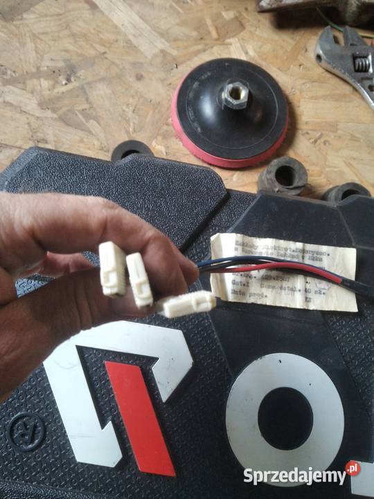 Przewud wyłonczniak zapłonu Pozostałe Usza Wielka