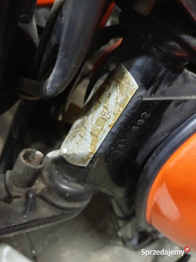 Wsk z dokumentami Dzietrzniki