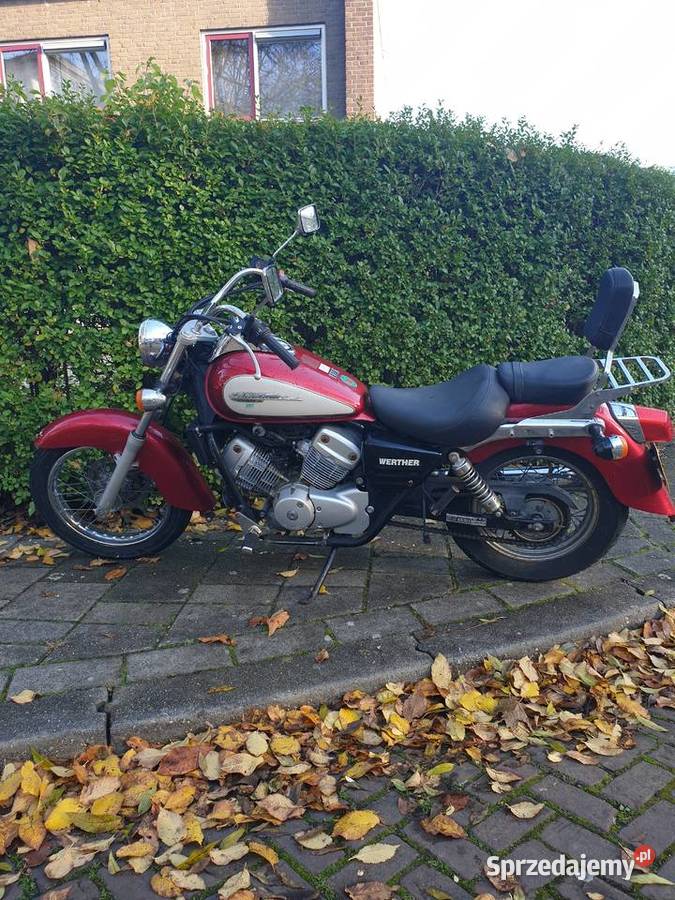 Sprzedam honda shadow Miłogoszcz