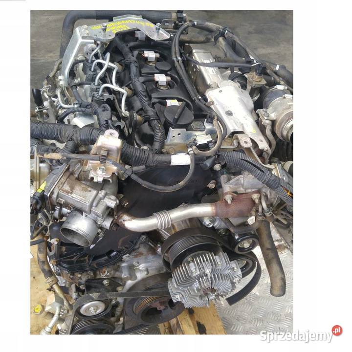 Silnik kompletny Renault MAXITY Nisan CABSTAR 25 wielkopolskie Śmigiel