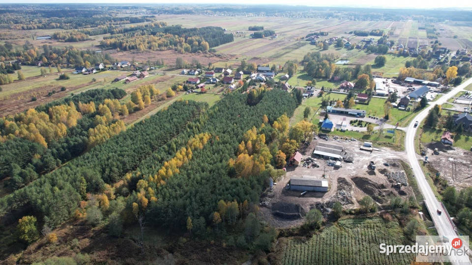 Ogłoszenie grunt 7600m2 Majdan Sieniawski podkarpackie