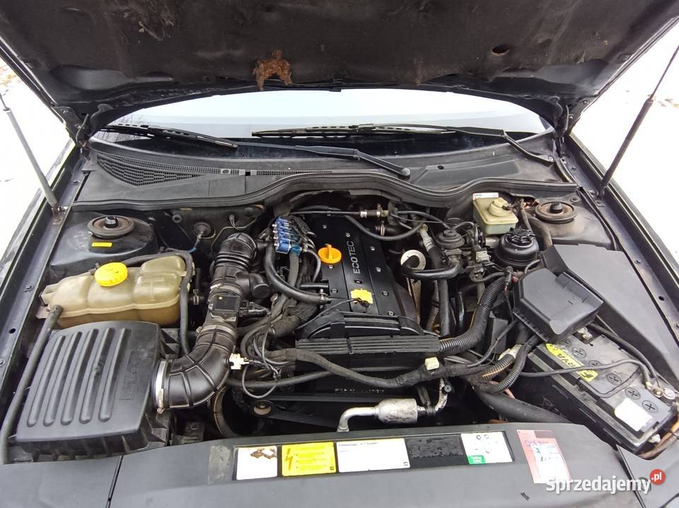 Opel omega LPG Xenon sprawna klima Omega lubelskie Lublin