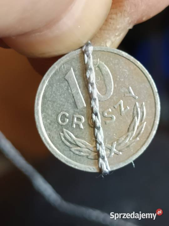 Sprzedam 10 gr 1981 r lekka skretka zzzz Chełm