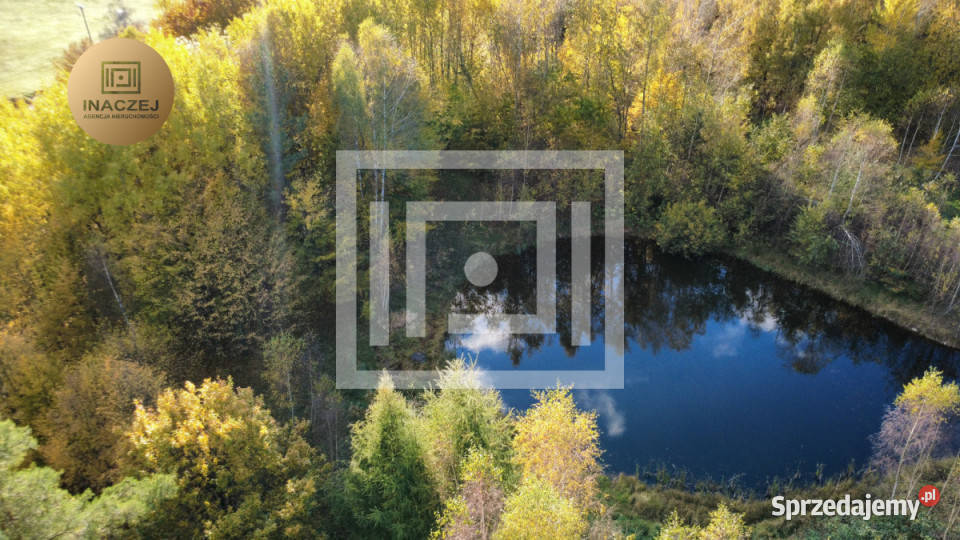 Działka 3000m2 Gromadzin