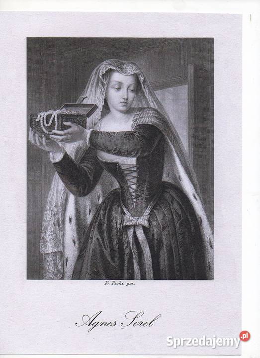 Kopie stalorytówGaleria Schillera autorstwa