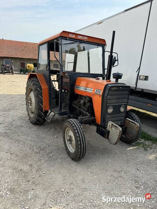 Ciągnik rolniczy ursus MF 255 Pozostałe Skalbmierz sprzedam