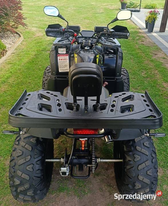 Quad 250 11 z wyciągarką i pługiem Pozostałe