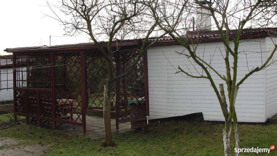 dzizalka rekreacyjna rod zaciszeJastrzebie Zdroj 300m2 Jastrzębie-Zdrój