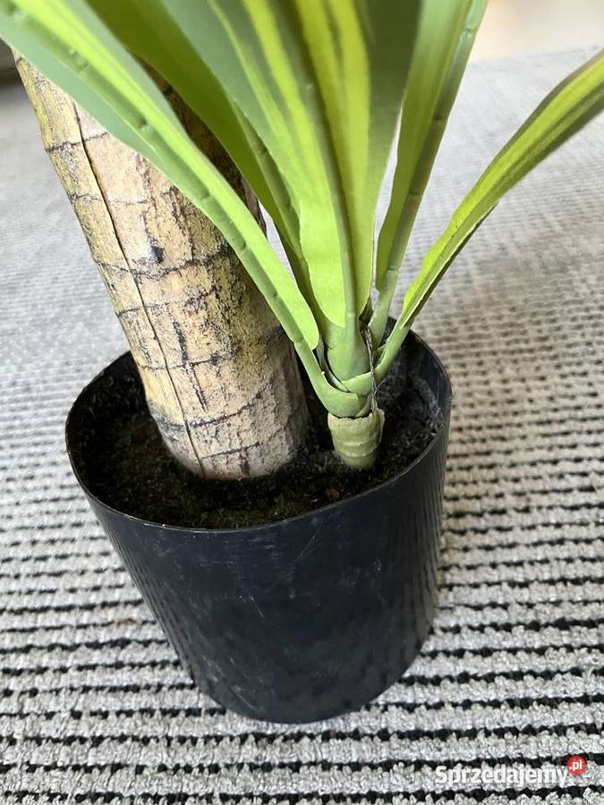 sztuczna dracena w doniczce palma 73 roślina Warszawa