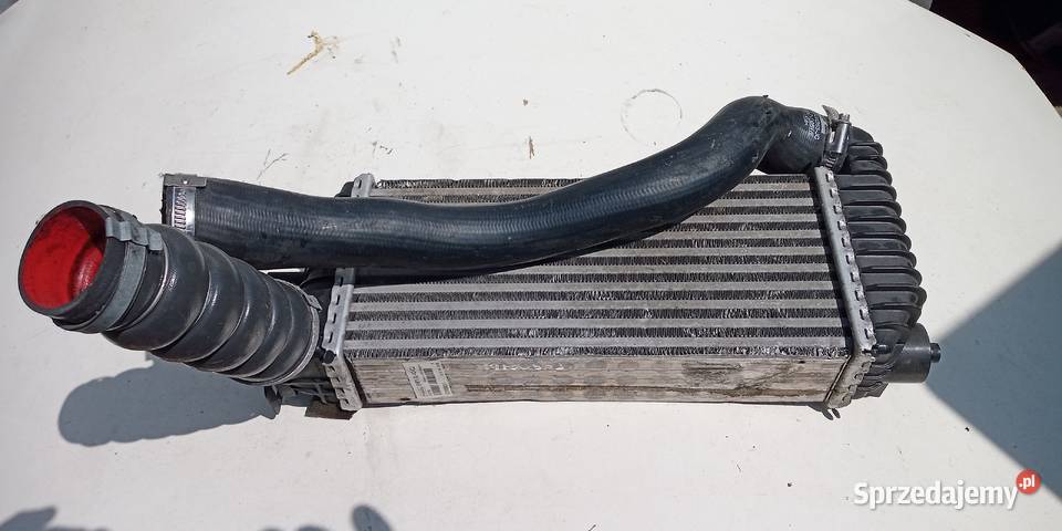 Intercooler Ford Focus MK3 16 TDCI 115 2010 osobowe sprzedam