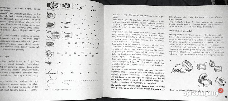 Zastęp zbiórka Jesień Jan Stykowski Chełm