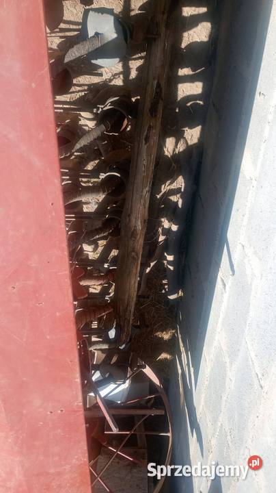 Siewnik konny 21 lejków mazowieckie Szydłowiec