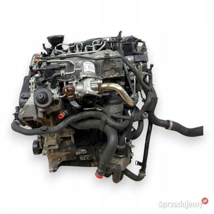 SILNIK CBD CBDC VW Golf VI Golf V Plus Passat B6 Chełm