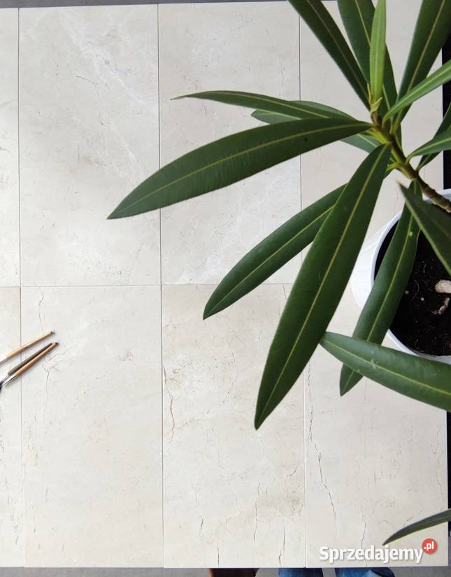 Płytki marmurowe CREMA MARFIL 305x61x1 poler i beżowy Pozostałe Ostroszowice sprzedam