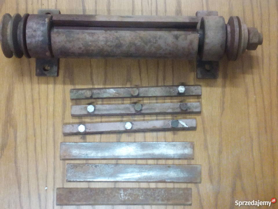 Wałek heblarka krajzega Pozostałe Morzyca