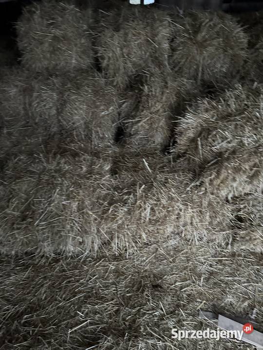 Siano w kostkach Tuszyn