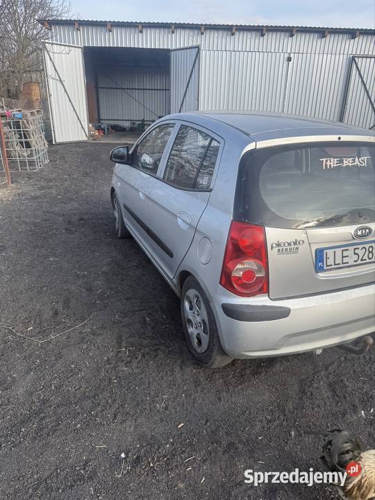 Kia picanto 11 crdi 2008 Ludwin