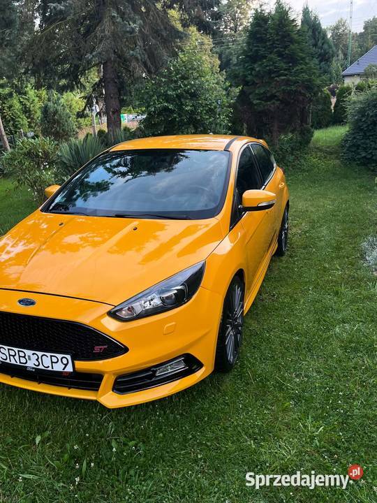 Focus ST niski przebieg mozliwa zmiana Rok produkcji 2016 Łuków Śląski