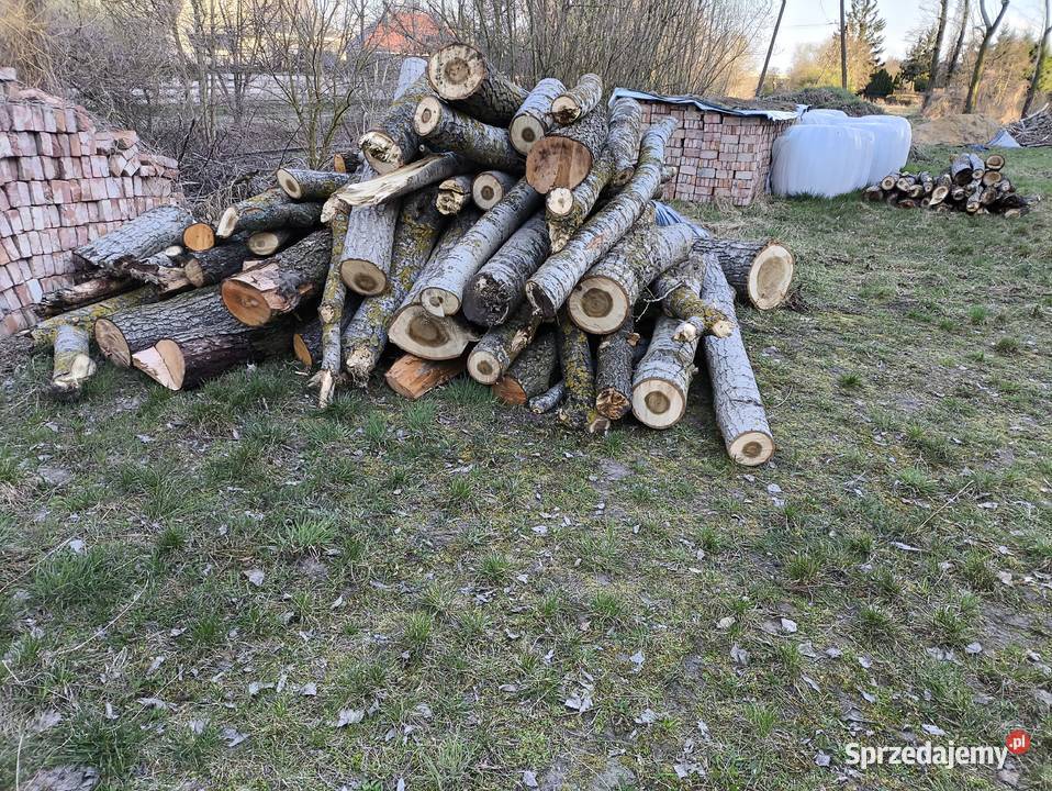 Drewno opałowe topola i olcha wielkopolskie Kościan