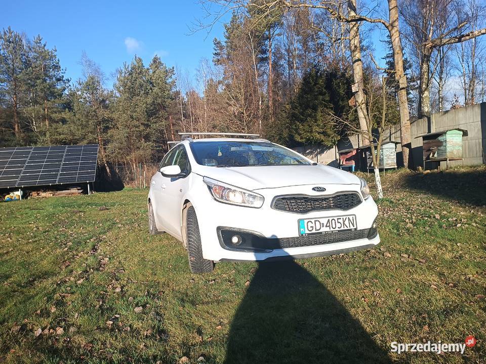 Kia Ceed kombi 2015r benzyna 16 benzyna Dobrzewino