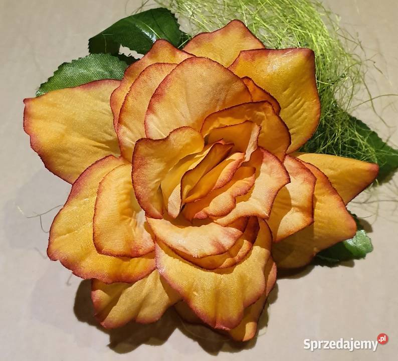 BMW X5 4X4 Nowe Auto do Ślubu Samochód na Wesele