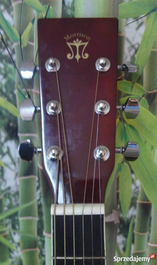 Nowa gitara elektroakustyczna Morrison dreadnought Gitary i akcesoria Tuszyn