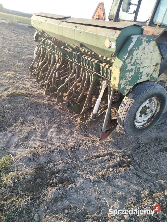 Siewnik poznaniak nieuszkodzony Kluczewsko