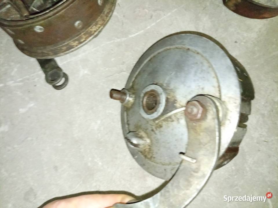 Wsk szczekotrzymacz podkarpackie Stalowa Wola