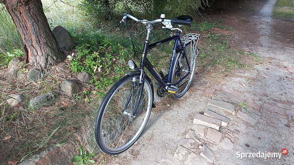 Alu Rower Miejski Męski Holender Batavus Jakima Miejskie