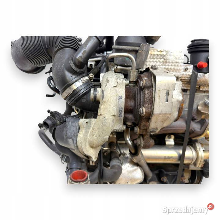 SILNIK CBD CBDC VW Golf VI Golf V Plus Passat B6 Motoryzacja lubelskie Chełm