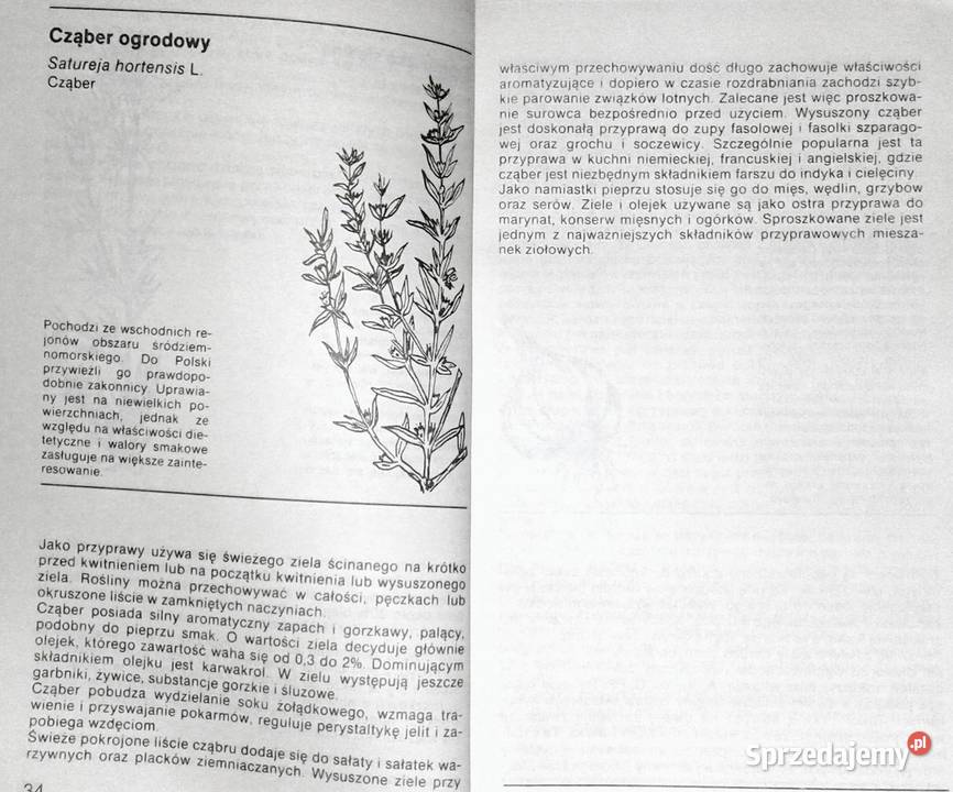 Ziołowe przyprawy kuchenne Zenon Węglarz Chełm sprzedam