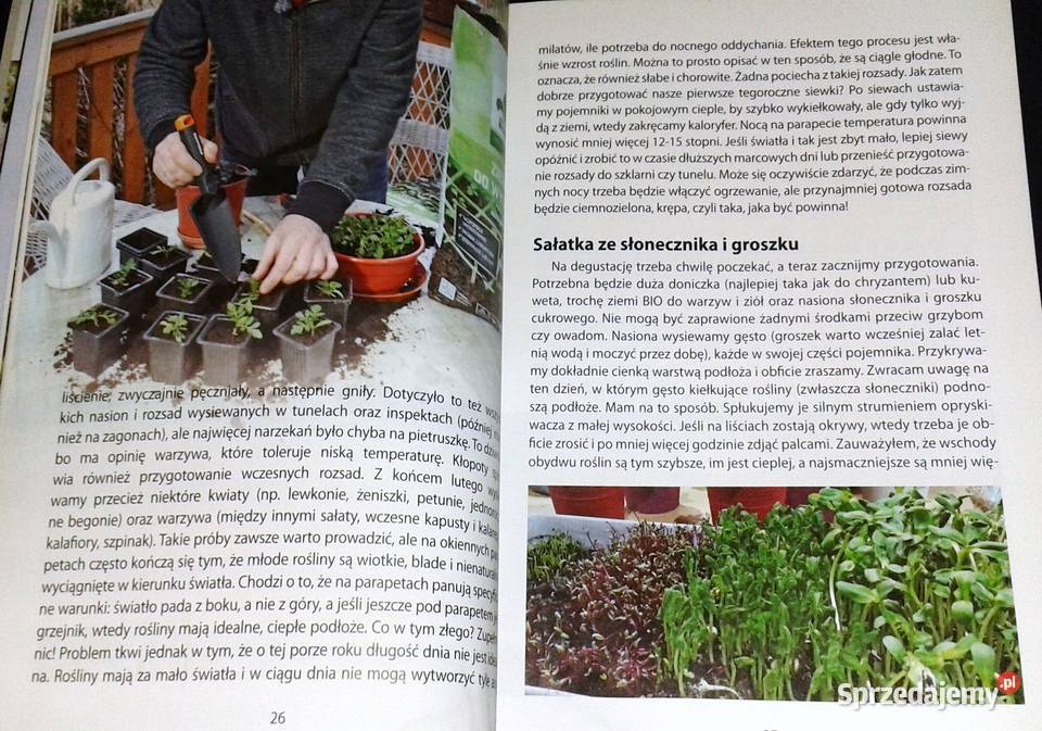 Wpływ księżyca 2019 Poradnik ogrodniczy Witold