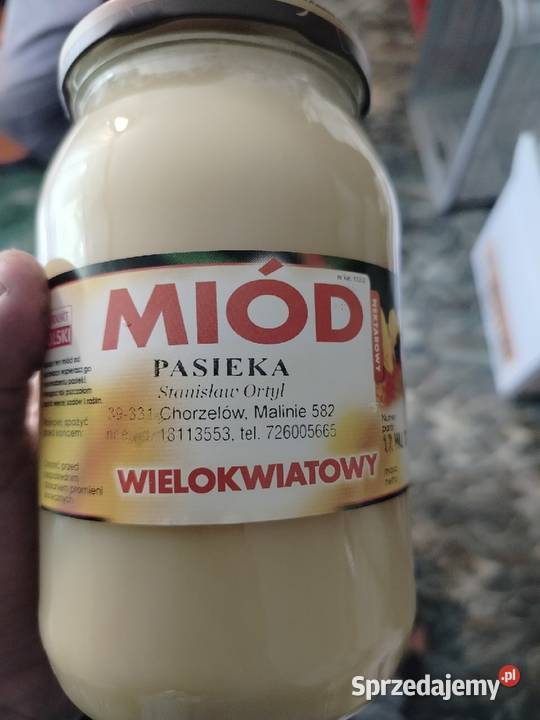 Sprzedam miód