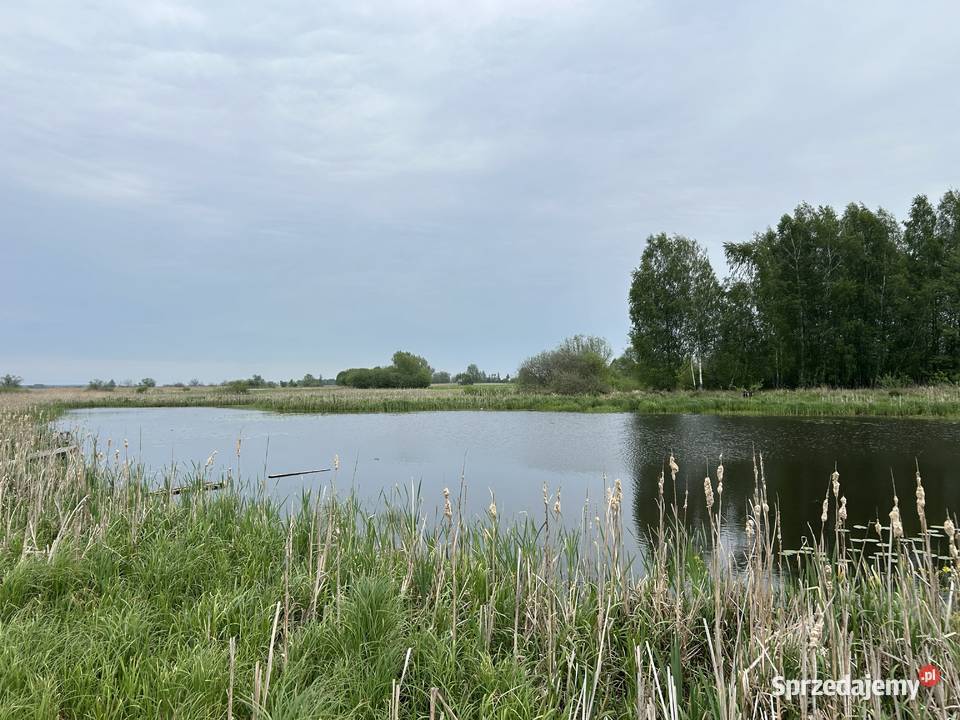 Działka z dostępem do naturalnego stawu 1091 m2 Sprzedaż Baranów