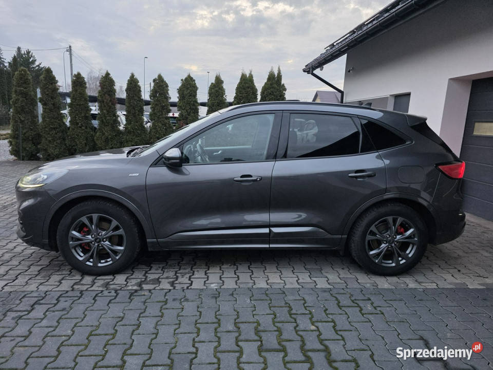 Ford Kuga EUROPAstlinemanualbezwypadkowykamera 1499cm3 małopolskie Żabno