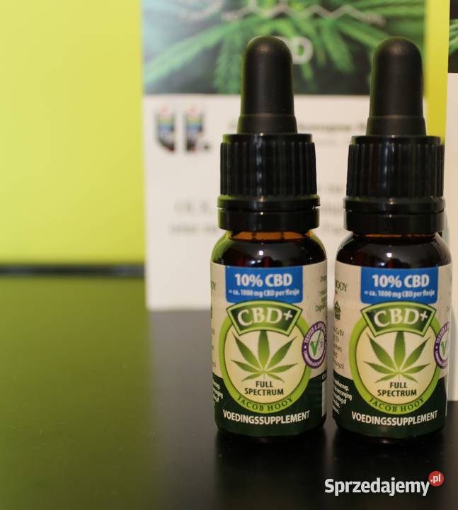 Jacob Hooy CBD 10 10ml olejek Łódź