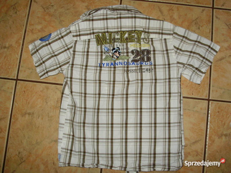 DISNEY CA 122 BOSKA Myślenice