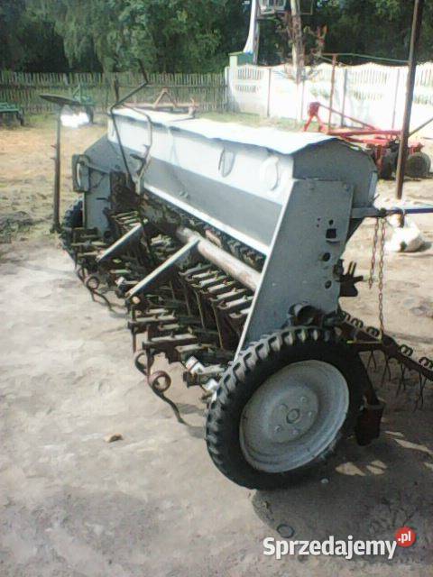 siewnik poznaniak Polusin