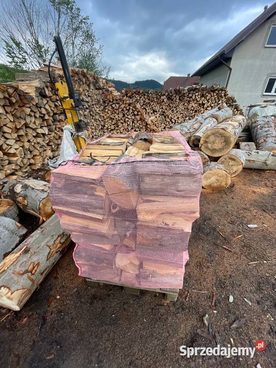 Drewno opałowe buk