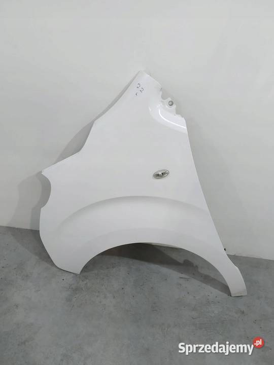 BŁOTNIK LEWY PRZÓD EWPA Peugeot Expert III 2016