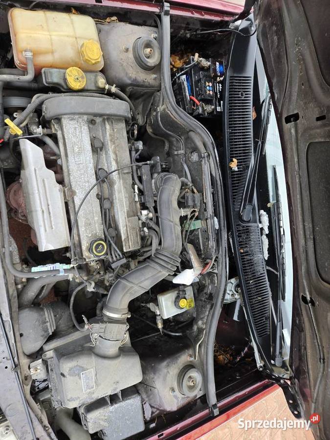 Ford Escort 16 benzyna 2000 1 właściciel Łódź sprzedam