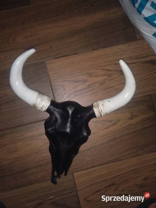 Kolekcjonerskie przedmioty Poznań